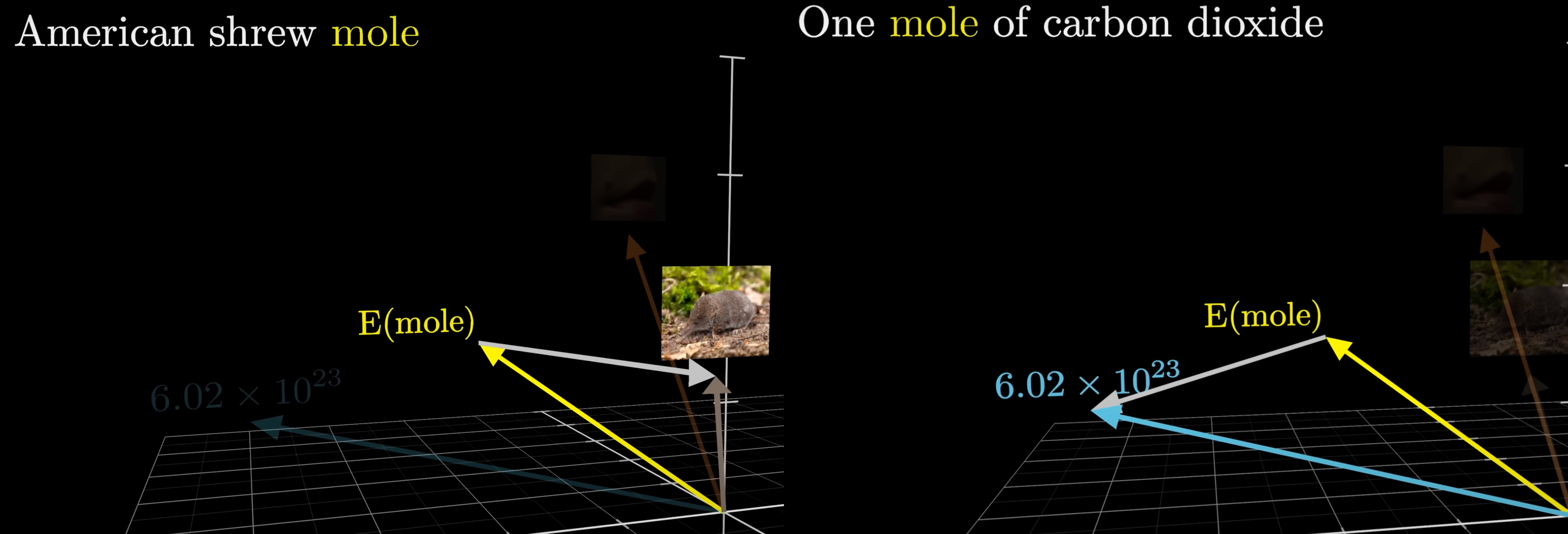 Only the last vector is used for next-token prediction